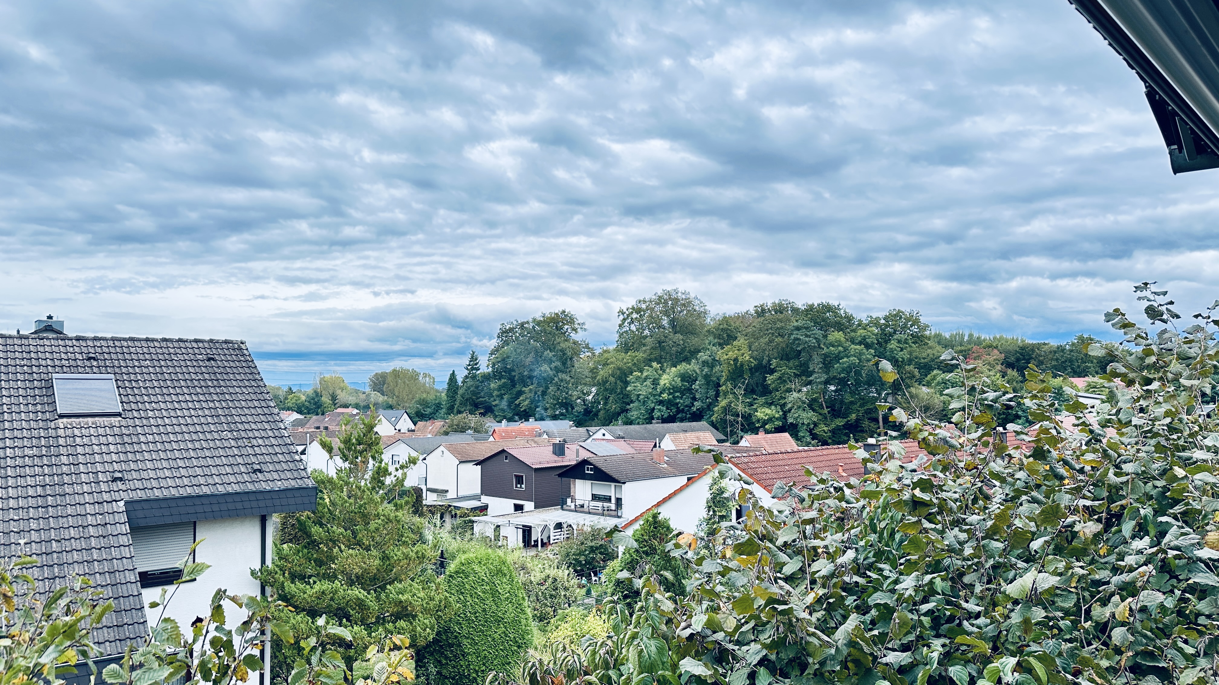 Ausblick Richtung Schwarzwald
